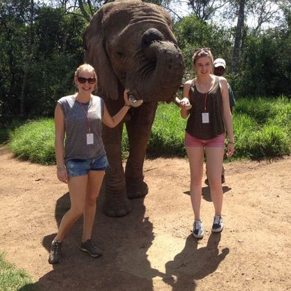 Prune à la rencontre des éléphants en Afrique du Sud