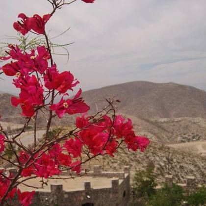 Paysage mexicain immortalisé par Noémie