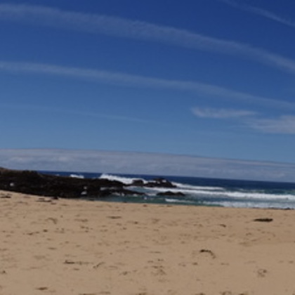 Les plages australiennes font vraiment rêver! Elles sont gigantesques et souvent vides.