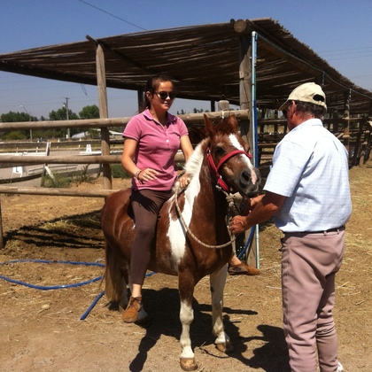 Cabalgata