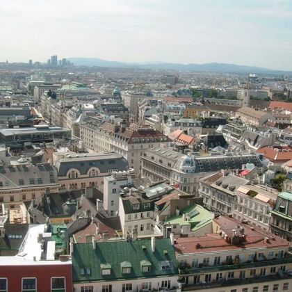 J'habitais à seulement 30 min de Vienne, j'y étais donc souvent avec mes amies. J'ai eu l'occasion de visiter beaucoup de choses, mais aussi de faire du shopping, sortir en ville etc. J'ai énormément aimé cette ville. 