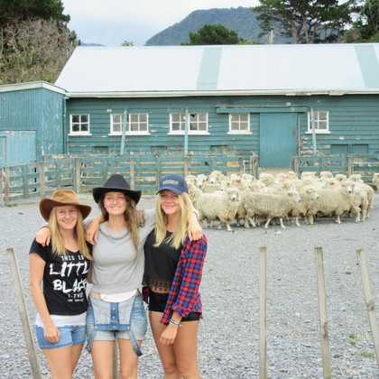 Visite d'une ferme de moutons avec les étudiants d'échange